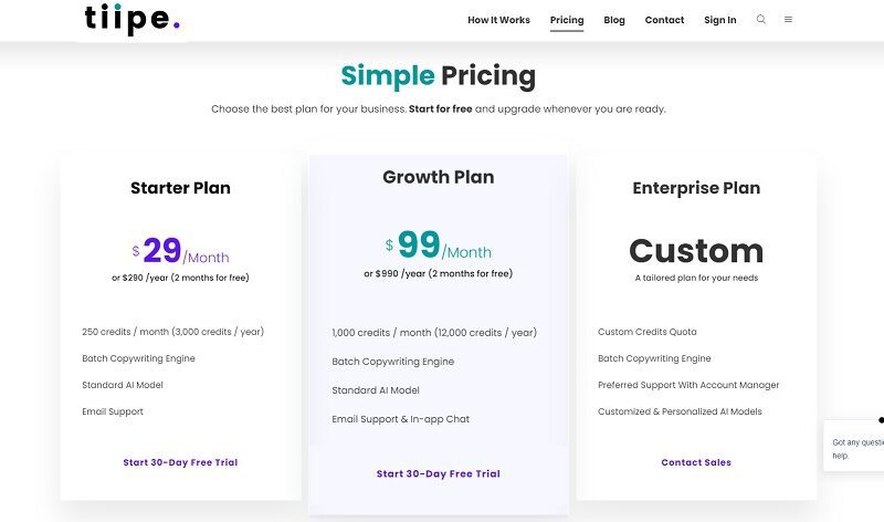 Unlock TIIPE: Transforming Enterprises with No.1 AI