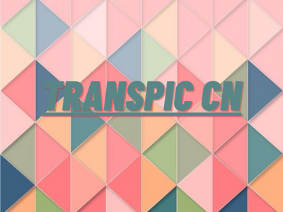 Transpic cn: AI-Powered Image Conversion